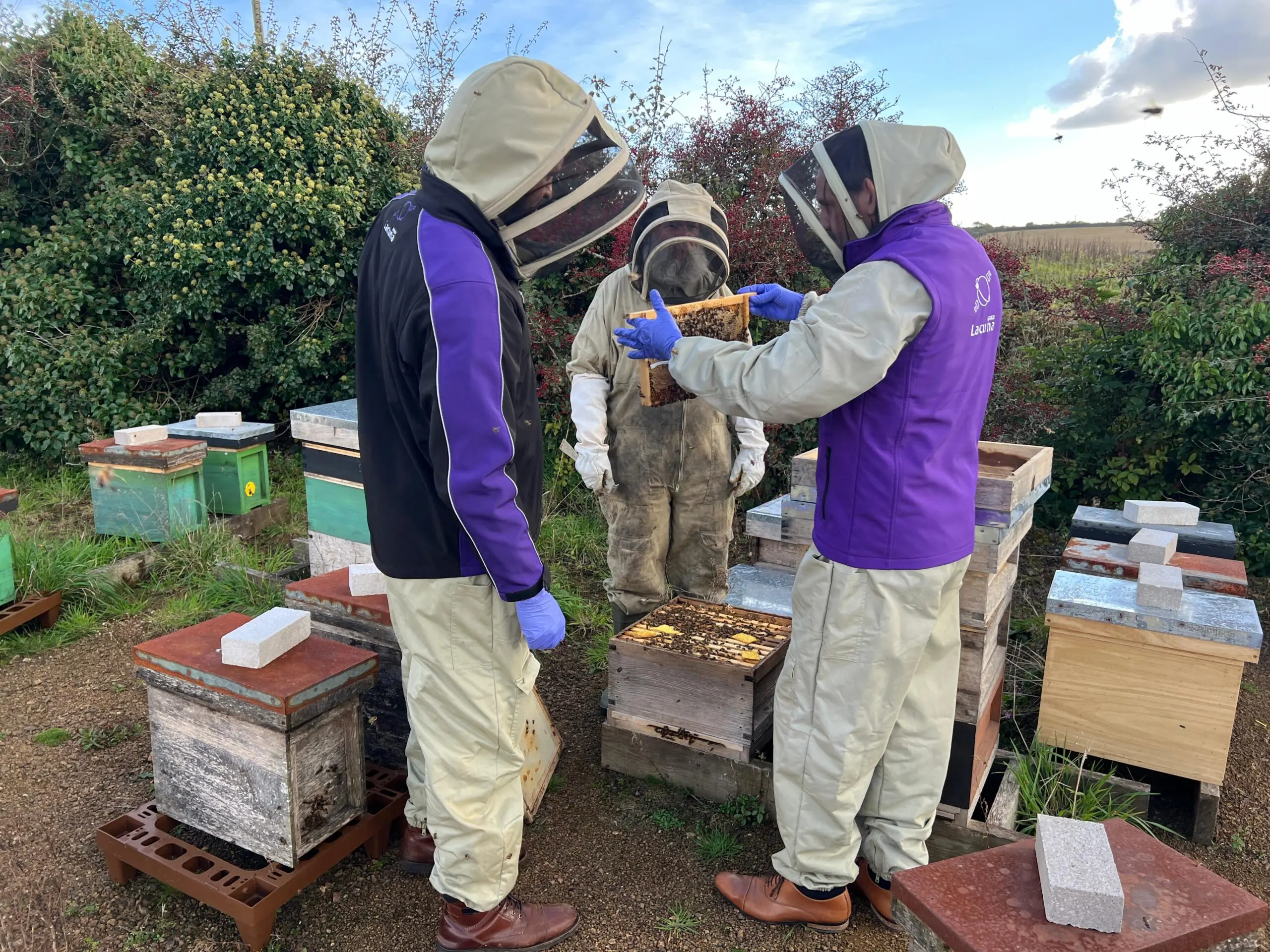 Lacuna team members installing satellite-connected IoT sensors on a smart beehive for remote health and weight monitoring