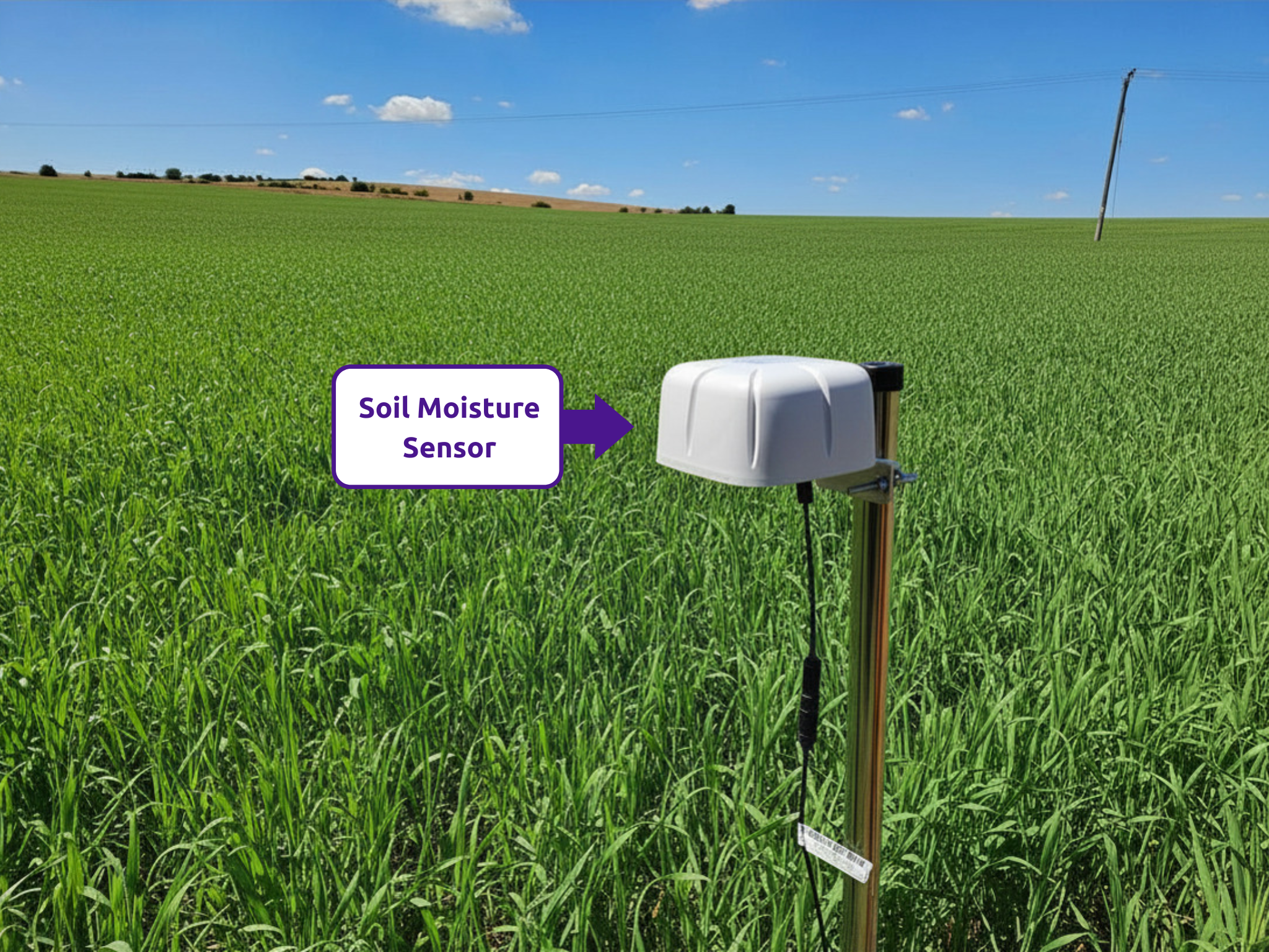 A Lacuna Space satellite IoT node installed in an agricultural field. The device is connected to an underground soil moisture probe and is positioned to transmit sensor data directly to a Low Earth Orbit satellite, bypassing terrestrial connectivity limits.